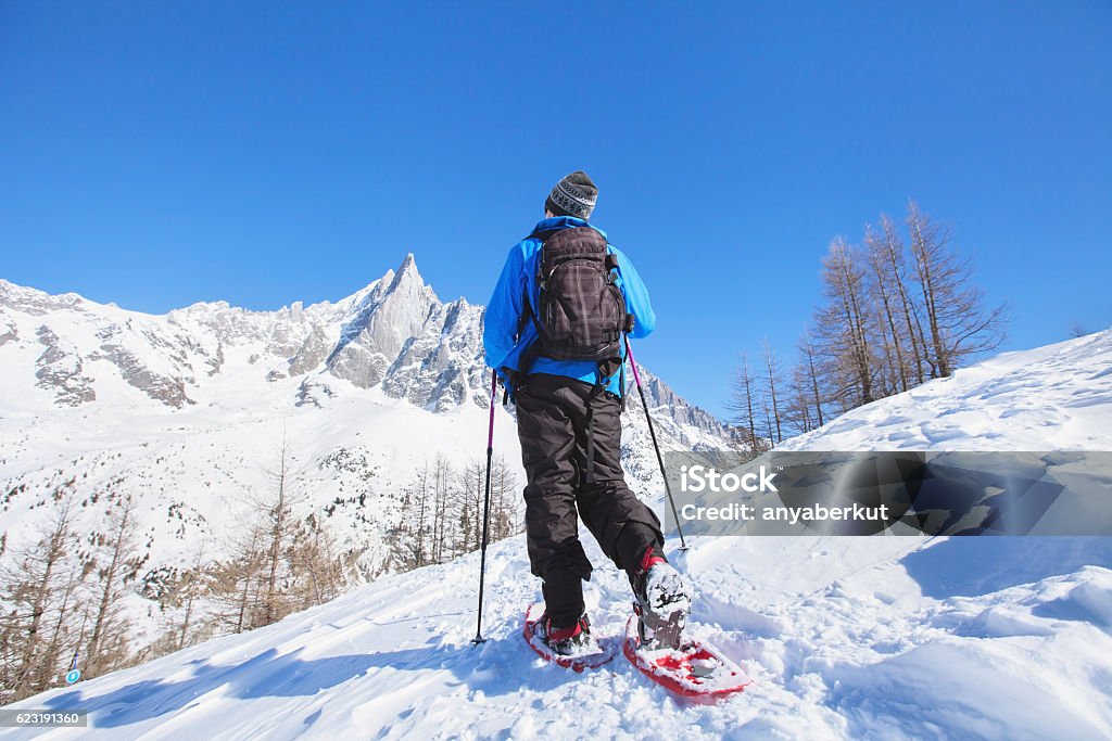 Raquettes dans la poudreuse à Morzine