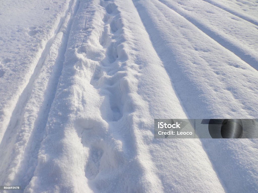 Raquettes neige fraîche Morzine