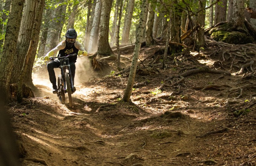 Piste DH Pléney dans les sous-bois