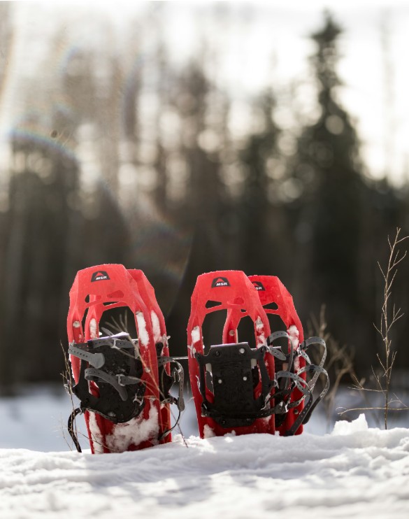 Fresh snow snowshoeing Morzine